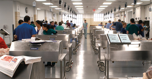 Facilities: Anatomy Lan