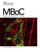 Cover of Molecular Biology of the Cell