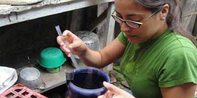 Upstate Researcher Explains Efforts to Control Mosquito-borne Dengue Fever