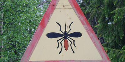 Seeking Zika
