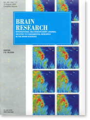 Brain Research Cover