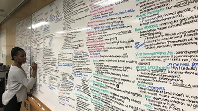 Janelle Haynes, a second-year medical student, uses a classroom whiteboard to take notes for her upcoming nuerosciences exam.