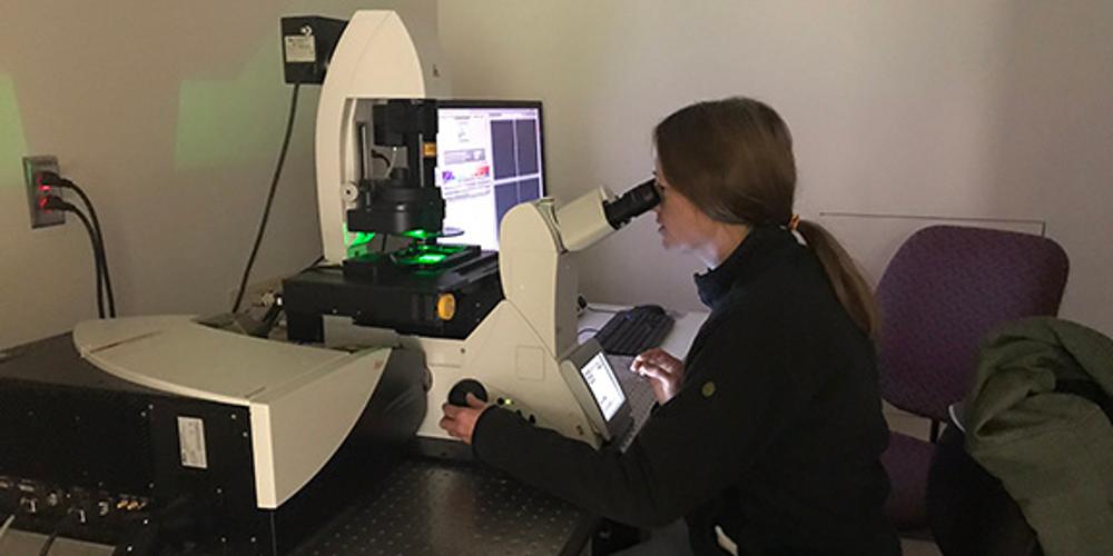 Post-doctoral biochemistry student Rebecca Oot looks at kidney cells on one of the high-resolution microscopes in the new Leica Microsystems Center of Excellence at Upstate in Weiskotten Hall.