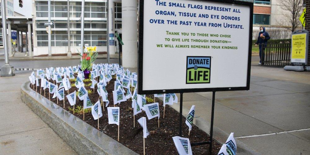 HONORING DONORS: Placing flags in the small garden outside of Upstate University Hospital to honor tissue, eye and organ donors from Upstate is part of the annual celebration April as Donate Life month.