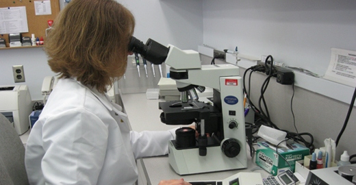 Andrology