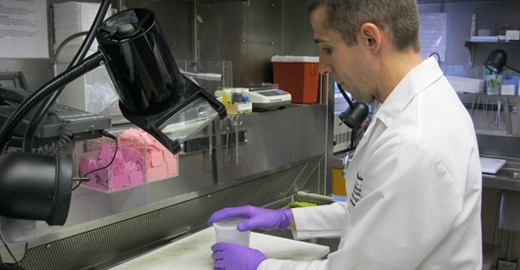 what is forensic pathologists