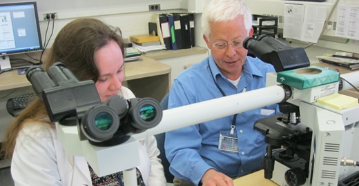 Hematopathology
