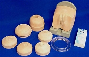 cervical dilatation trainer