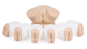 female pelvic trainer