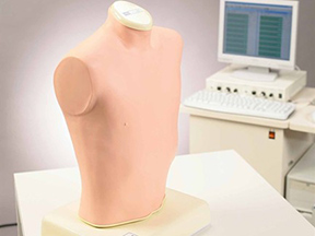 lung ascultation