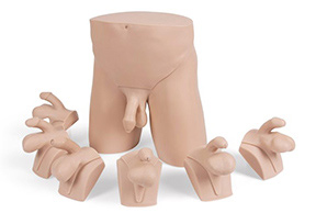Clinical Male Pelvic Trainer Advanced and Standard