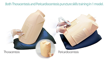 Ultrasound Guided Thoracentesis/Pericardiocentesis Simulator