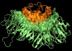 aip1cof1