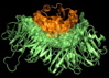 AIP1