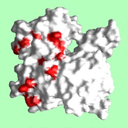 Act1-Aip1