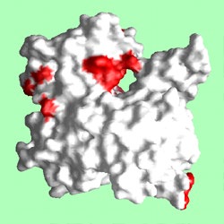 Act1-Aip2_front
