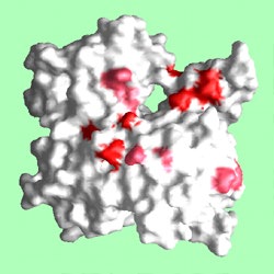 Act1-Aip3_front