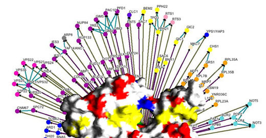 The Actinome Project