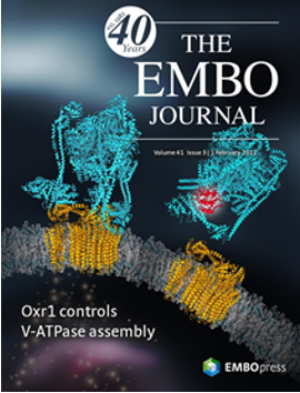 EMBO Journal