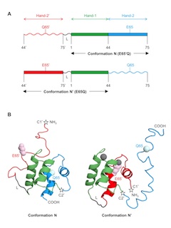 Loh Fig 1