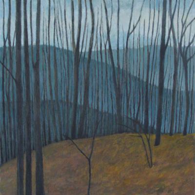 hm17winterhillside