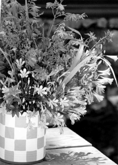 bouquet