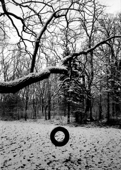 Tireswing