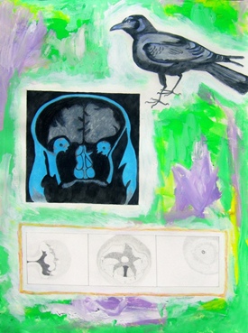 Crow
