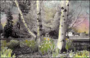 Spring