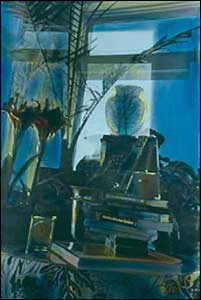 Still Life in Time