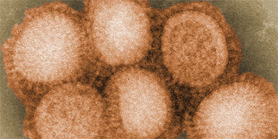 Context: Seasonal & H1N1 Influenza