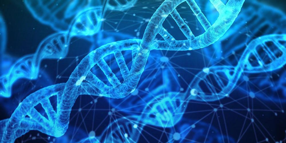 Genetics Program Double Helix image