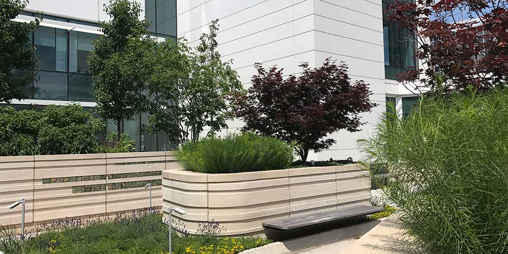 Cancer Center healing garden