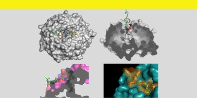 Developmental Cancer Therapeutics