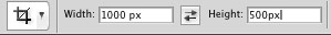 Screenshot of Photoshop cropping