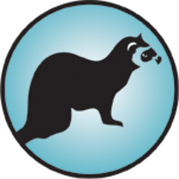 The Ferret!