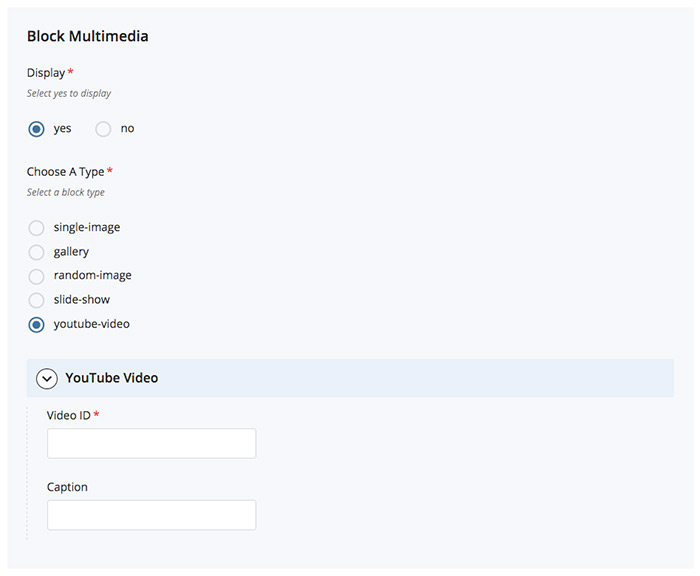 video block