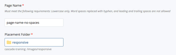 cms8-page-name.jpg