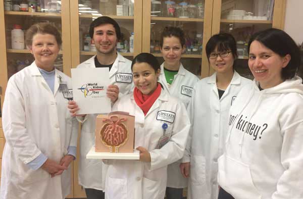 Lab kidney day photo