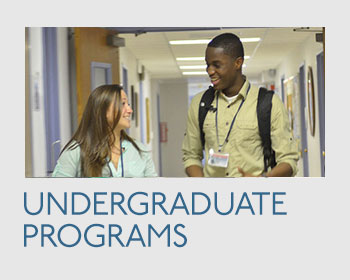 Undergraduate Programs Box