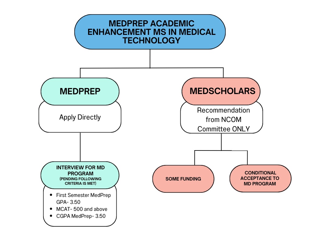 Med Scholars organizational chart - pathway.