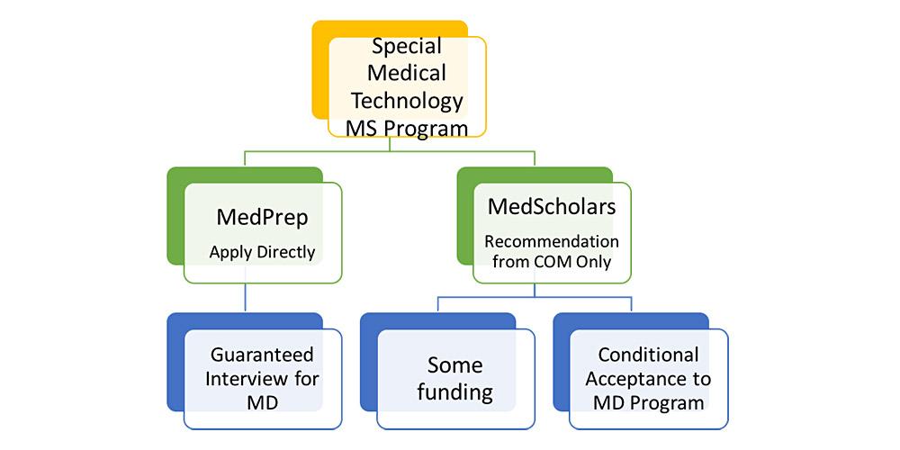 Med Scholars organizational chart - pathway.