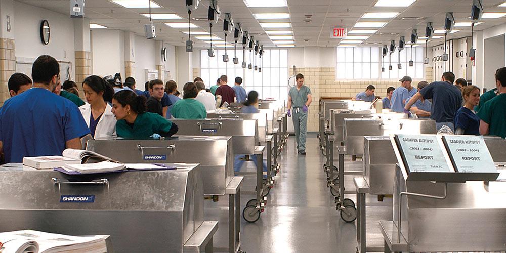 students in the cadaver lab
