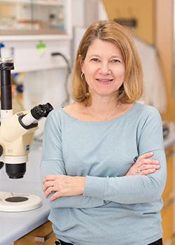Patricia A. D’Amore, PhD, MBA