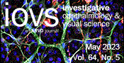 Loss of Tbx3 in Mouse Eye Causes Retinal Angiogenesis Defects Reminiscent of Human Disease