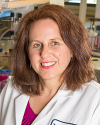 Dr. Bernstein