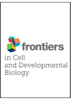 Frontiers cover