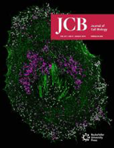 Cover of JCB Magazine