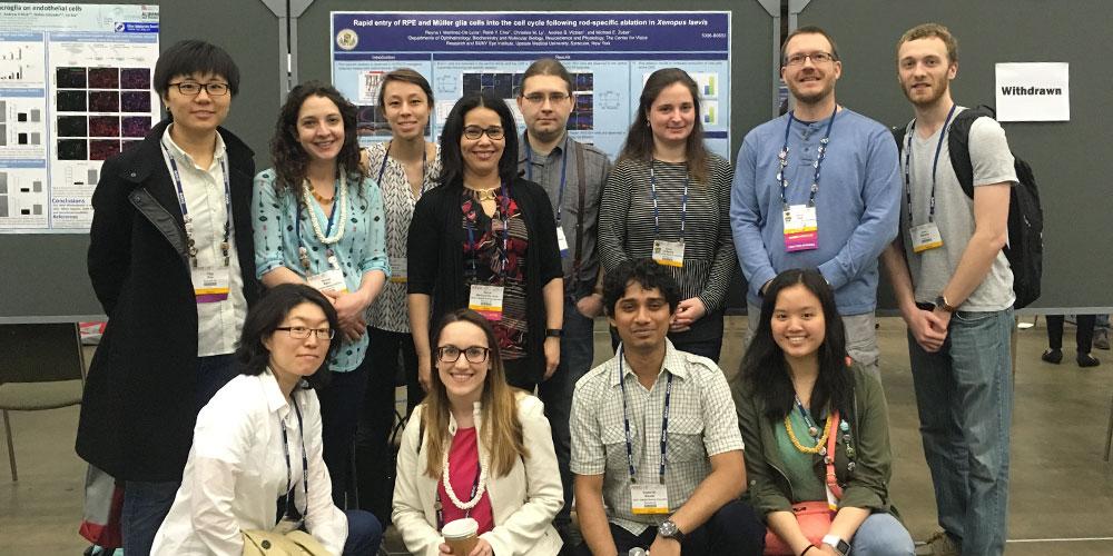 Postdocs and Residents
