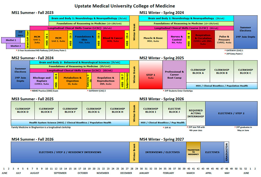4 year schematic